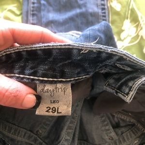 Day trip Leo size 29L